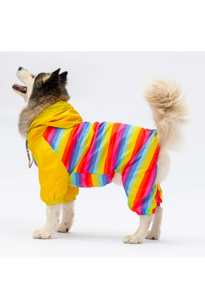 Pawstar Peru Büyük Irk Köpek Tulum Yağmurluk