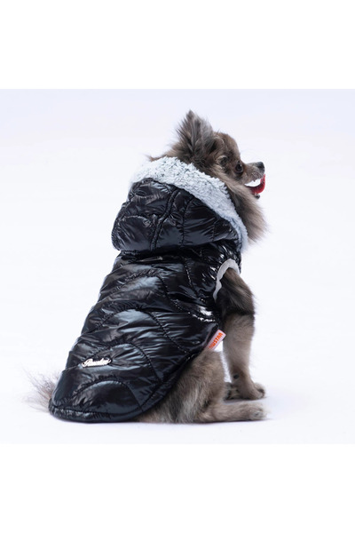 Pawstar Light Wave Kedi Köpek Yelek