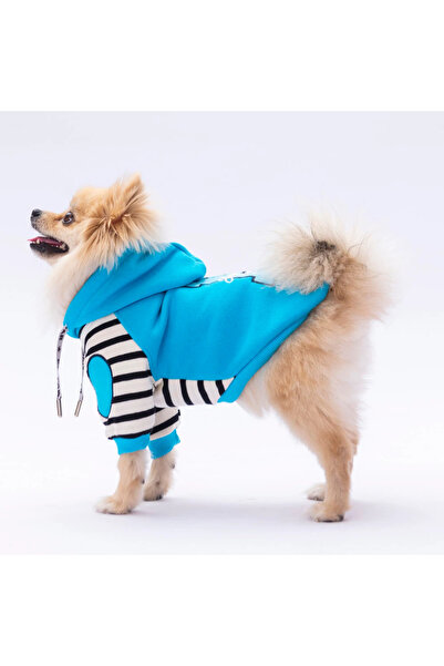 Pawstar Turkuaz Lucky Club Kedi Köpek Hoodie