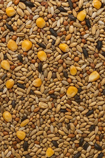 DOĞADAN PREMİUM KARIŞIK GÜVERCİN YEMİ