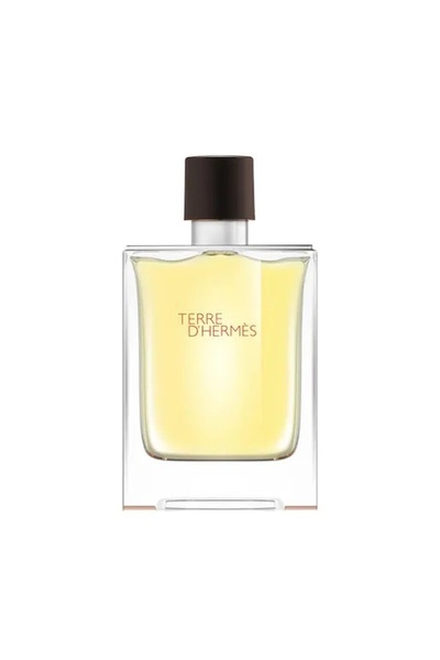 Hermes Terre d'Hermès Eau de Toilette - 100ml