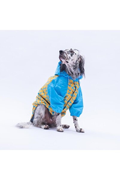 Pawstar Nice Citrus Narenciye Desenli Büyük Irk Köpek Montu Köpek Yağmurluğu ...