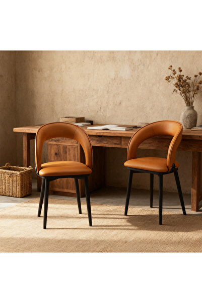 Zztcmp Dining Chairs,Kitchen Chairs,Modern Accent Chair for dining room, living room, kitchen and outdoor