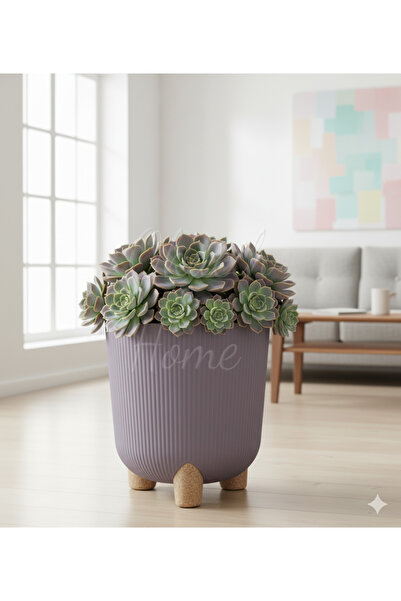 okacih Modern Stick Line Saksı Akıllı Altlıklı 25x25 Cm 9 Litre