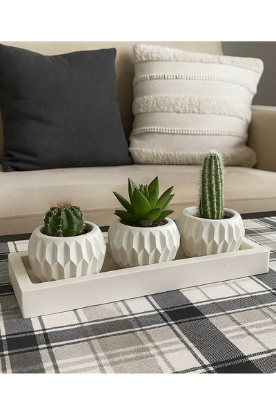 Omerella Beton Tabaklı 3 lü Kaktüs ve Sukulent Saksı (Çiçekler Dahil Dağil