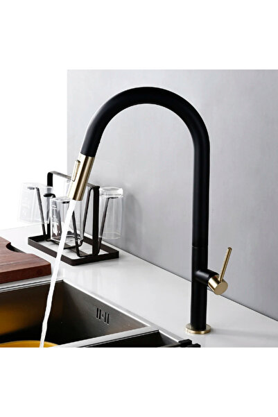 OEM Baterie Chiuveta Bucatarie, Design Modern, 3 Moduri, Extensibil, Oțel Inoxidabil, negru/auriu