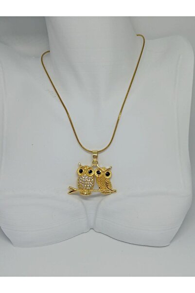 PINARIN TAKI DÜNYASI AKSESUAR Çelik Taşlı İkili Baykuş Model Kolye-Şık ve Anlamlı Tasarım Çelik Kolye