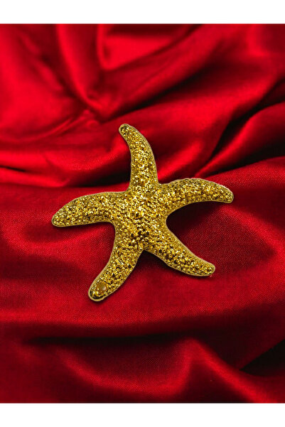 SESİKA HOBİ Στήριγμα ζώνης για σκουλαρίκια με επιχρυσωμένο αστερίαστρο, ανθεκ...