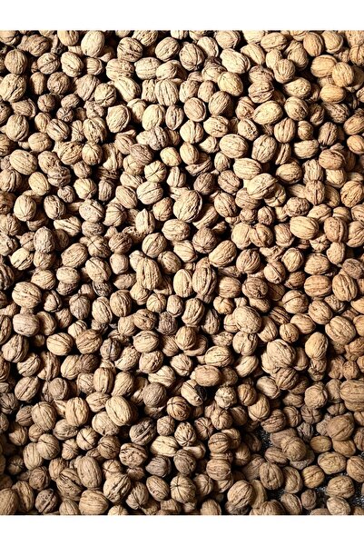 Vina Store Yerli Kabuklu Chandler Ceviz – Doğal Bahçe Ürünü 5 kg