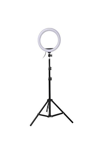 buz Professional LED Ring Light with Phone Holder and Remote, 10-inch, 210 cm...