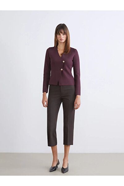 LC Waikiki LCW Vision Mürdüm Kruvaze Yaka Kadın Triko Hırka