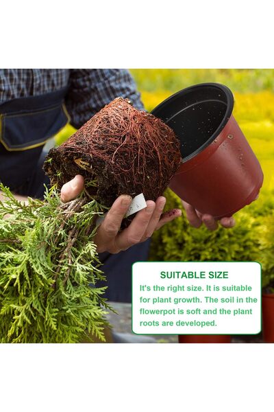 Augshy Set 110 ghivece plastic pentru plante, diametru 10cm