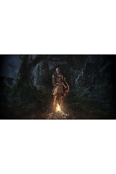 Bandai Namco Dark Souls: Prepare to Die Edition (Xbox 360)