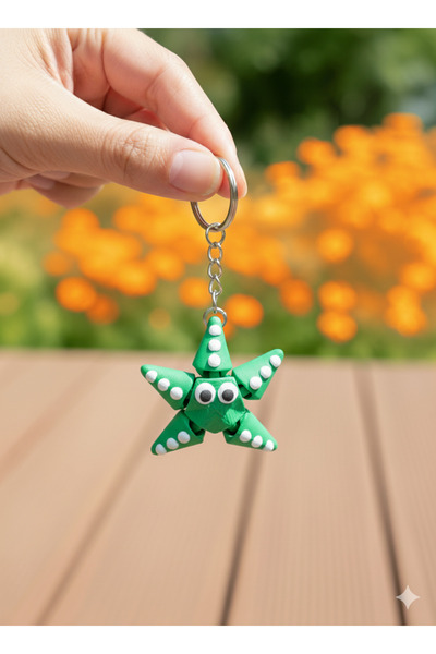 Fluna Design ستار بادي - مجموعة سلسلة مفاتيح نجم البحر الملونة