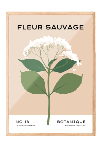 Zestia Tablou înrămat în lemn, Fleur Sauvage - Floare albă, Poster decorativ ...