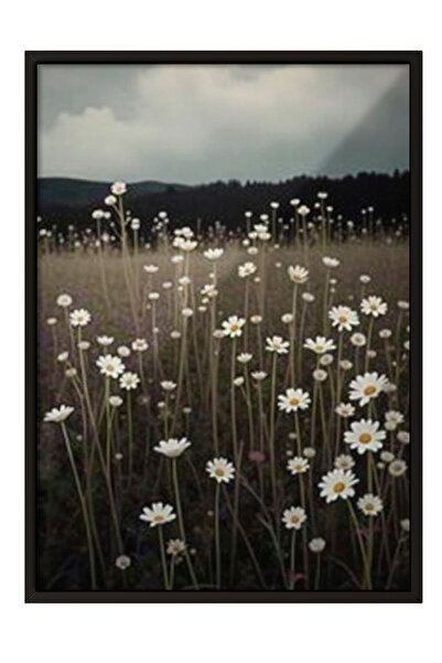 Zestia Tablou înrămat negru, câmp de margarete albe - peisaj natural, poster ...