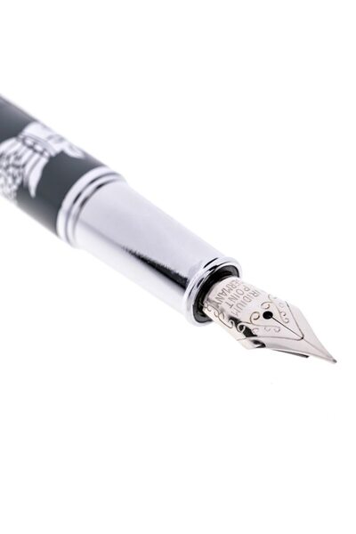 Daco Gray Fountain Pen, Daco, F-type nib + FLR leather case, metal body, silver accessories, Dragonul Da model