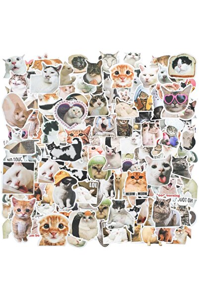 SWIUKPHE مجموعة ملصقات فينيل قطط مضحكة، 100 ملصق مقاوم للماء