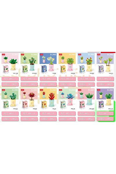 Flippy Σετ Κατασκευής Φυτού σε Γλάστρα - Παχύφυτο