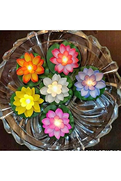 verix lotus nilüfer çiçeği 6 adet