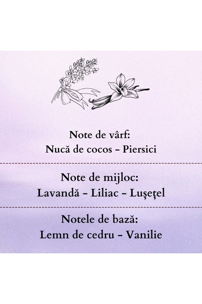 AromaZone Odorizant cu bețișoare LAVENDER VANILLA, Handmade – 120g, aromă de lungă durată