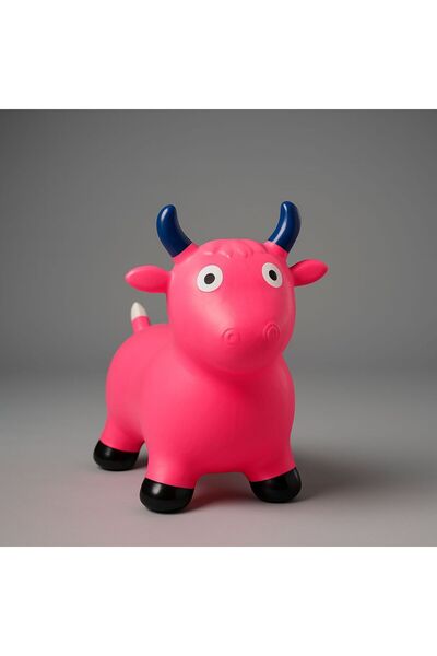 casper sport Zıp Zıp Pilates Hayvanı, Şişme Hayvan