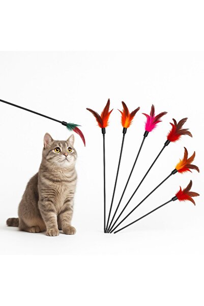 PATICOOL Rattle Feather Cat Toy Stick | Fun Cat Fishing Rod Toy