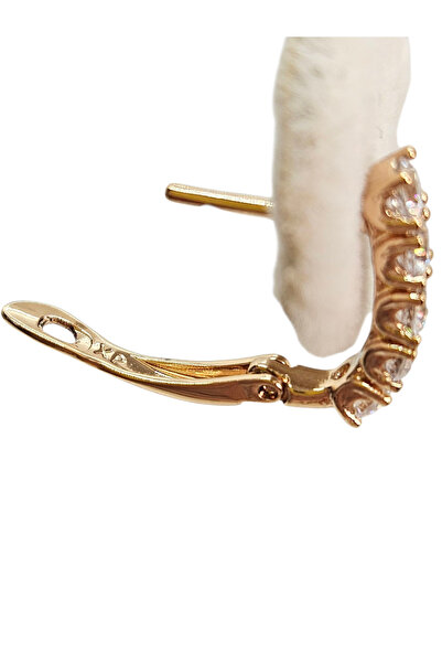 XUPING JEWELRY Rose Gold Color Row Zircon Stone Hoop Earrings | – Xp Printed 316L Steel