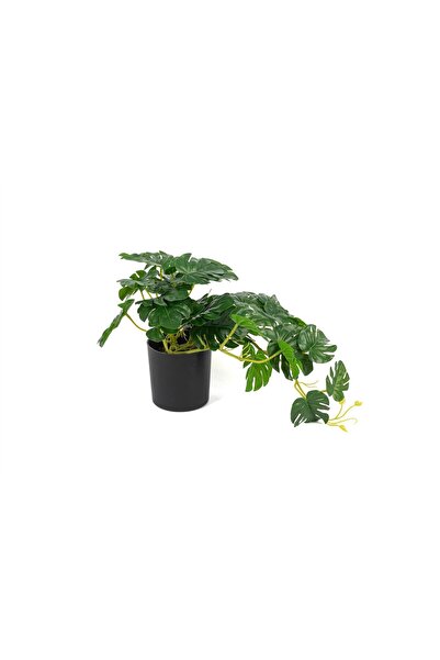 Mikasa Moor Kalathea Artificial Flower 23cm