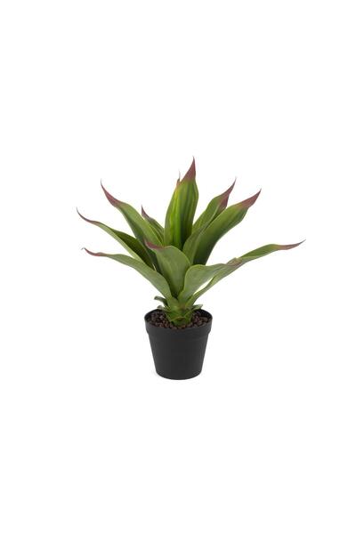Mikasa Moor Agave Yapay Çiçek 50cm