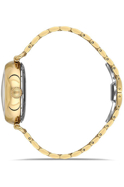 Momentus Tc271G-16Sg