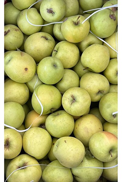 5M AHŞAP DEKOR Sarı elma (Golden delicious) 2 KG