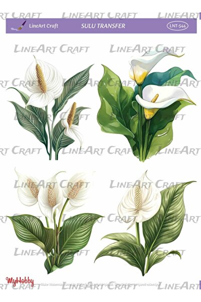 LİNEART LNT544 Gala, Çiçek, Krem Tonları Açık Zemin Sulu Transfer 25*35 cm