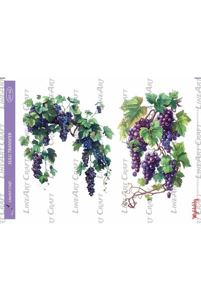 LİNEART Lnt550 Grapes, Vine, Shades of Purple Light Ground Water Transfer 25*...