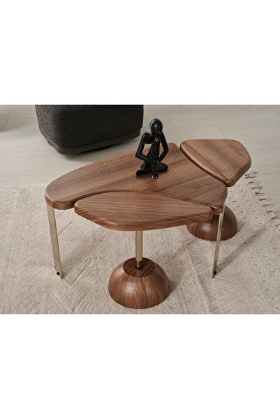 CEYHUL DURU 3LÜ DEMONTE ORTA SEHPA