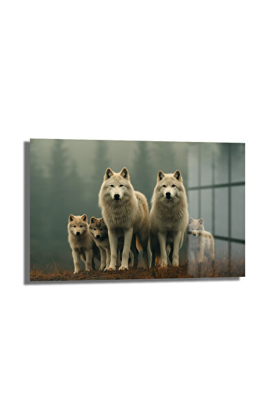 GLAZELLA Kurt Ailesi Cam Tablo