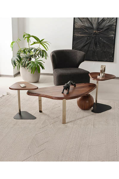 CEYHUL PİANO DEMONTE ORTA SEHPA VE ZİGON SEHPA SET