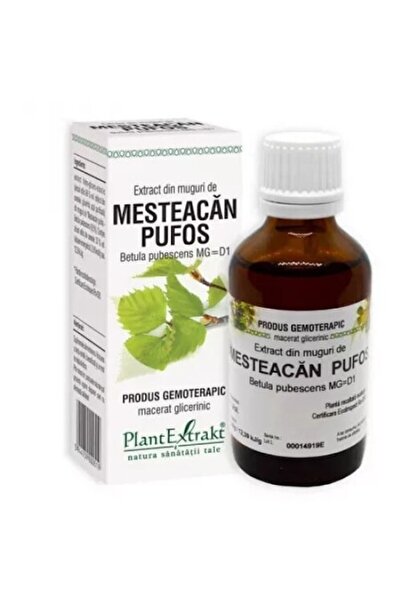 Plantextrakt , Extract din Muguri de Mesteacan Pufos 50ml