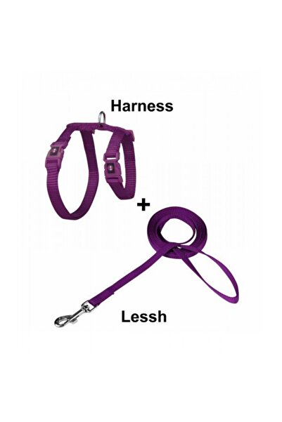 Doco Signature Cat Harness + Leash XS Orange