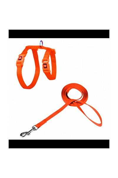 Doco Signature Cat Harness + Leash XS Orange