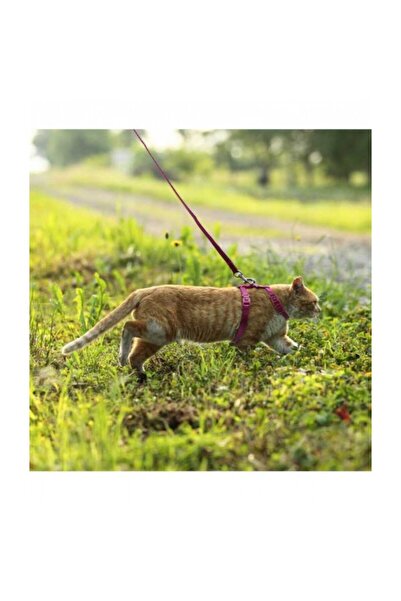 Doco ® LOCO Cat Harness + Leash Combo - Printed Pattern 6ft For Cat