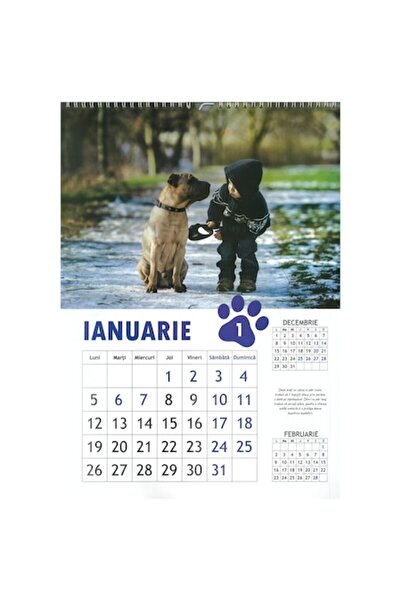 Maxim Catei si catelusi, A3, 6 pagini, Jack & junior