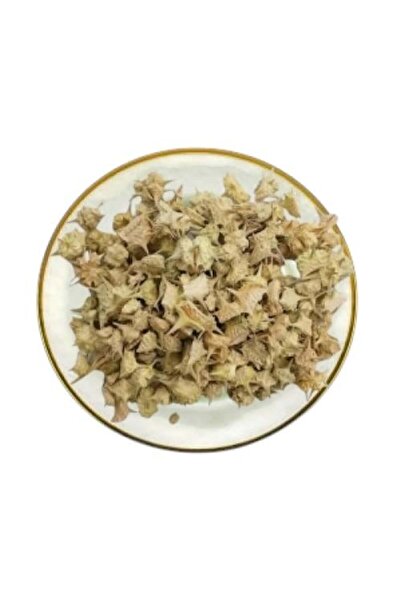 alatar عشبة الحسك (القطب) 250 غرام