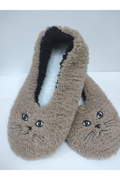 MODA كان لدينا قطط أليفة