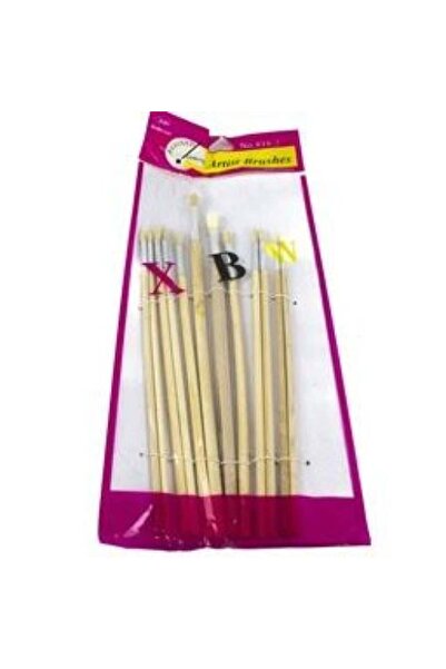 Palette 12-piece paintbrush