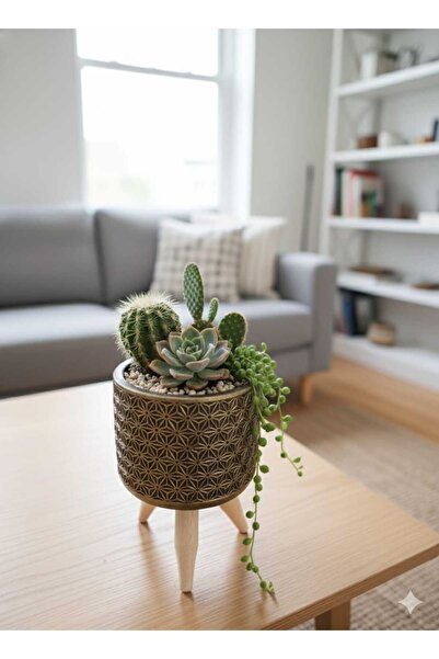 Alba Home Decor Ahsap ayaklı medern saksı