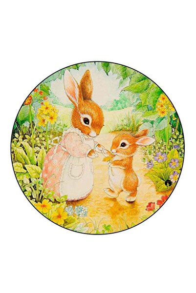 Generic RKN Rabbits Printed Fridge Magnet Multicolour
