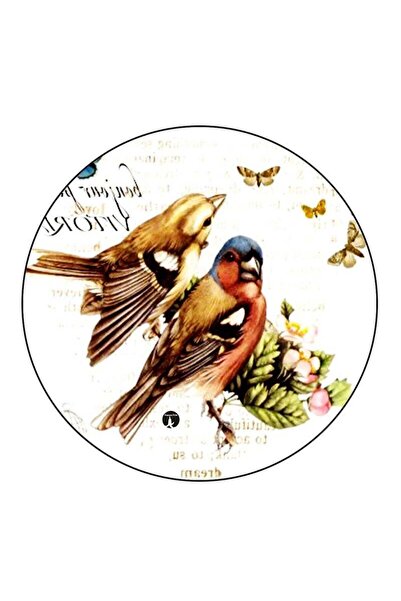Generic RKN Birds Printed Fridge Magnet Multicolour