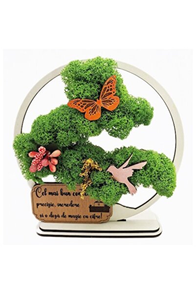 OEM Decorative Frame - Bonsai with Stabilized Lichen, Message 'The Best Accountant', 15 cm, White