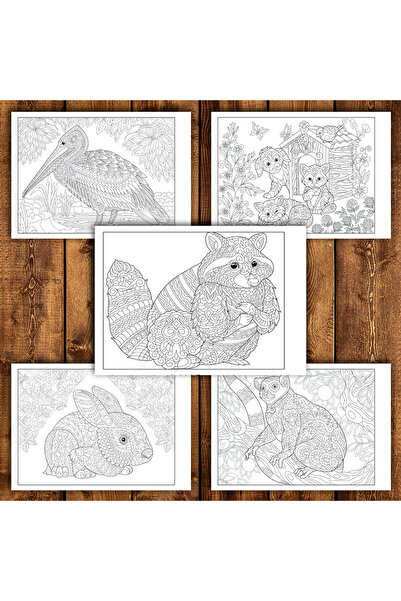 Legendary Gifts Painting book, 50 illustrations Animal Mandala - Premium Edition - Volume II